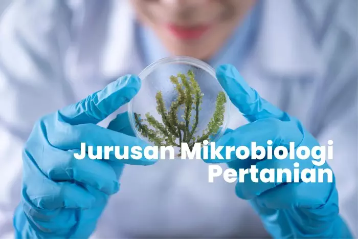 Pilihan Karir Menarik untuk Lulusan Mikrobiologi