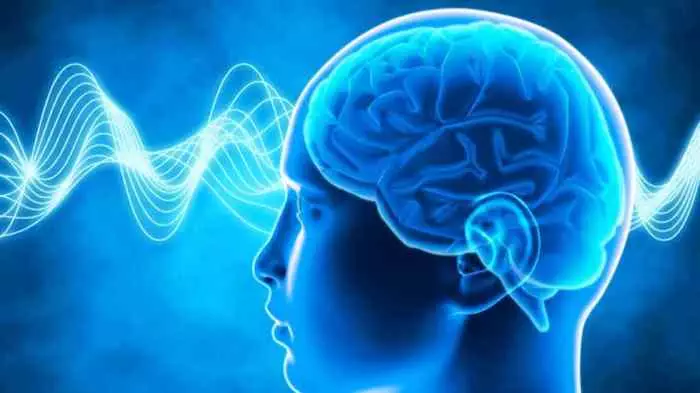 Jam Kerja Otak Manusia: Memaksimalkan Kapasitas Kognitif