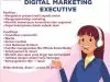 Apa Kerja Digital Marketing: Panduan Komprehensif